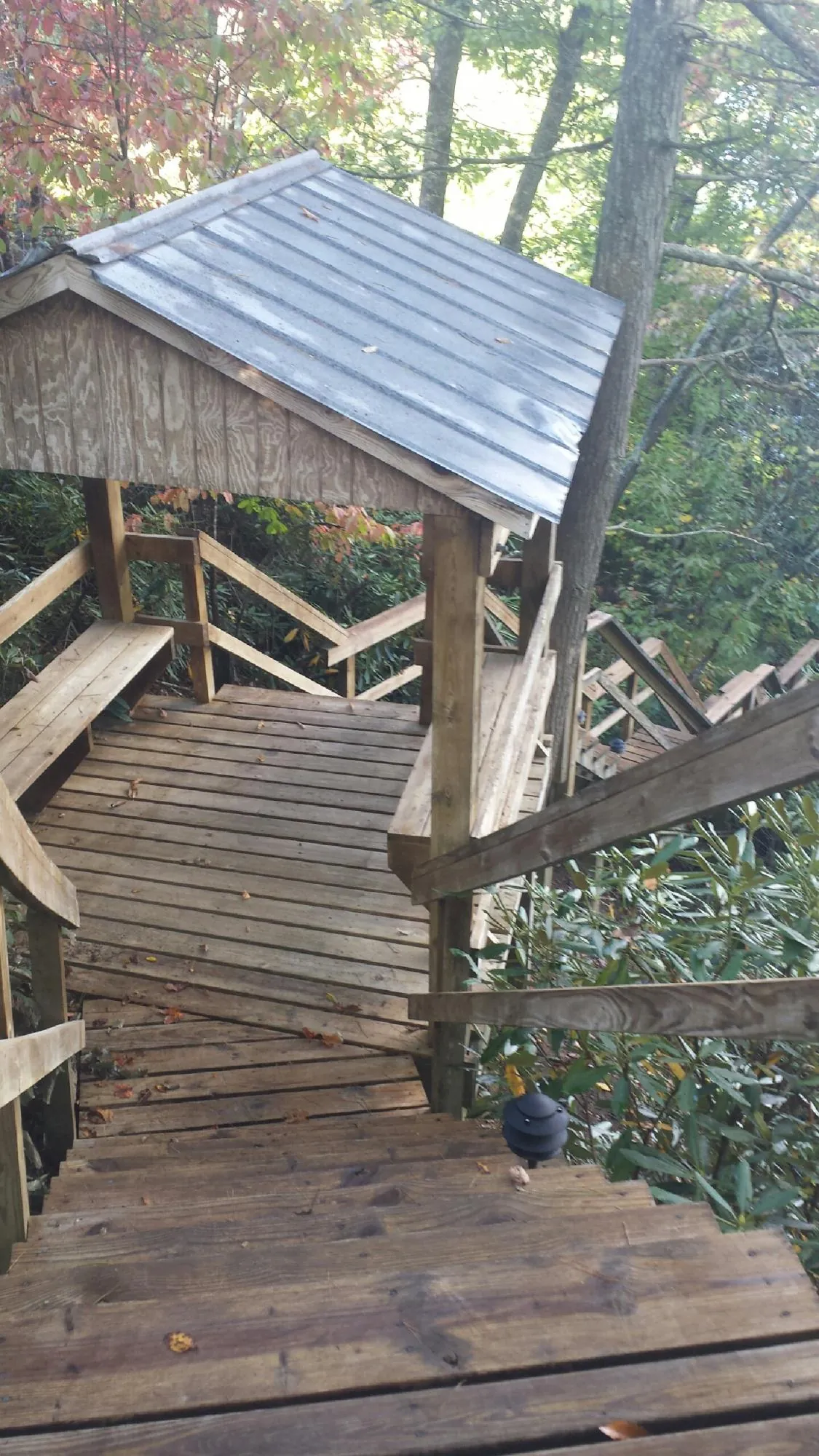 Metal roofed shelter over wooden steps on a wooded walkway — Skylight Repair & Installation work by our crew in Alapaha